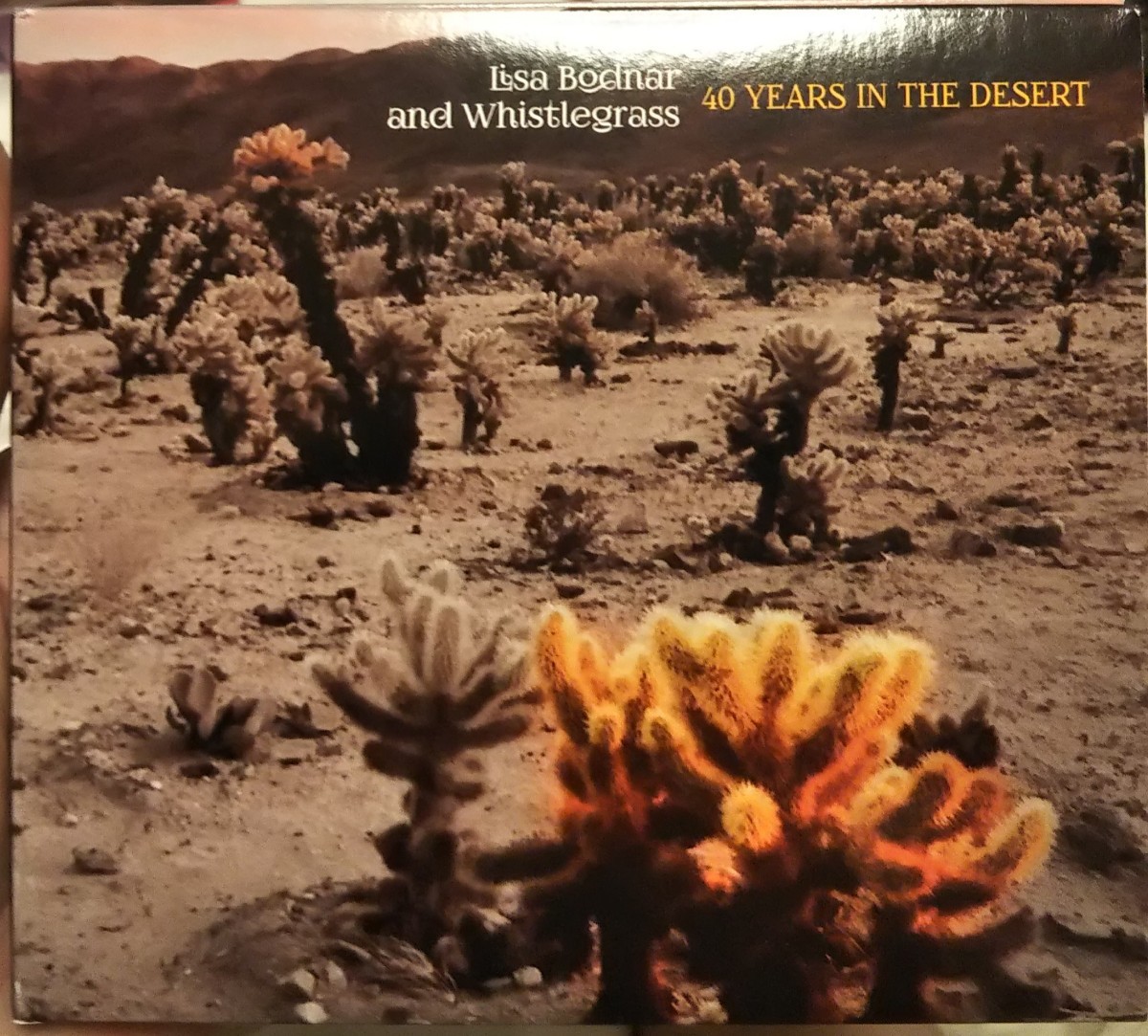 lisa bodner and whistlegrass 40 years in the desert リサボドナー ホイッスルグラス インデザート ロック ネオアコ拍卖