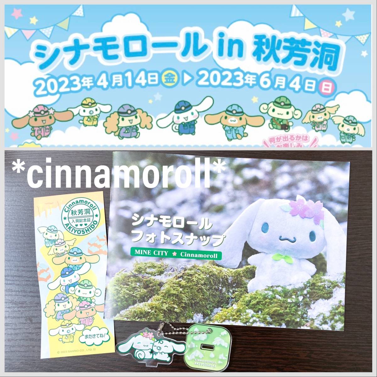 2023年4月14日〜6月4日期間地域限定 レア サンリオ シナモロール 秋吉台 フォトスナップ アクリルスタンド シナモン アクスタ拍卖