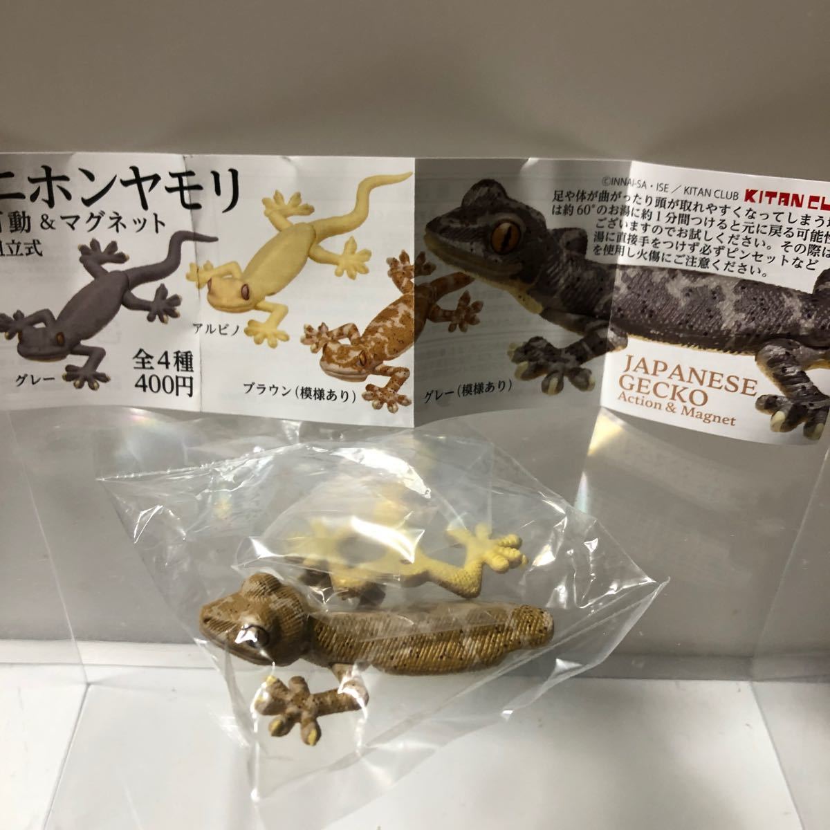 奇譚クラブ ニホンヤモリ ブラウン(模様あり)拍卖