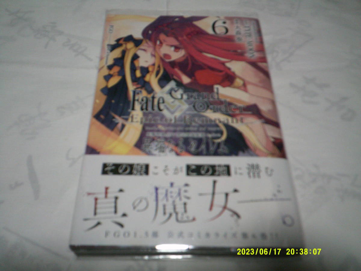 Fate Grandorder Epic of Remnant 異端なるセイレム 第6巻 原作:TYPEMOON 漫画:大森 葵 2023年4月5日 初版発行拍卖