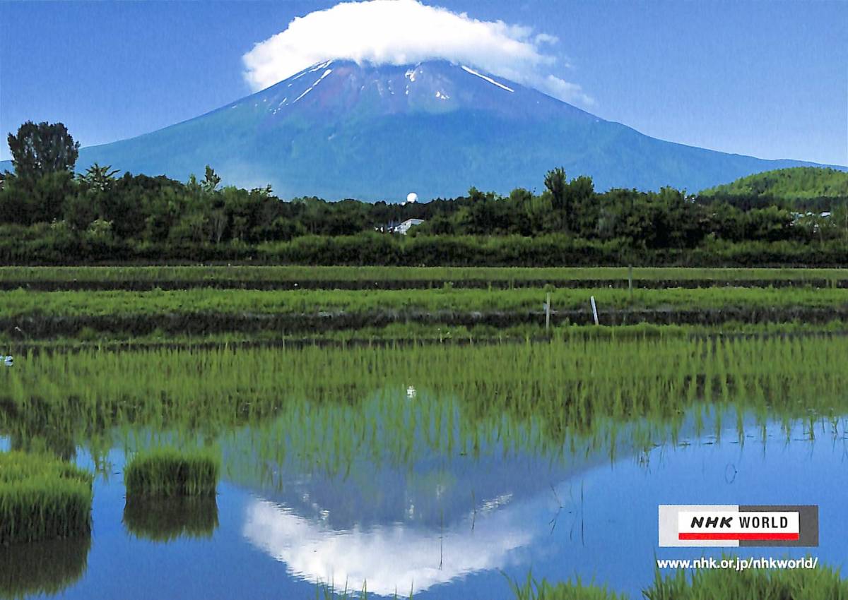 BCL★希少ベリカード★ラジオ・ジャパン+おまけ★SONY★ソニー★世界初ICラジオ(★当時)ポケッタブル★ICR-100取扱説明書付拍卖