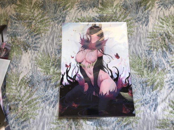 223クリアファイル 姉なるもの とらのあな特典 ぽち。 /ぽち小屋。 通常攻撃が全体攻撃で二回攻撃のお母さんは好きですか?拍卖