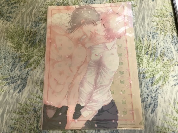 223クリアファイル 左京亜也 クロネコ彼氏 3ポケット 桜拍卖