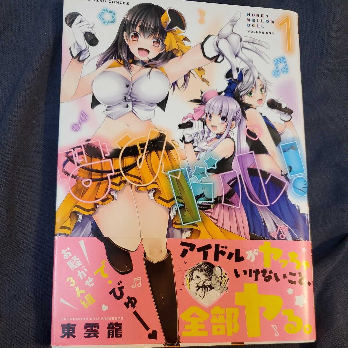 はめドル! 1、2巻 (コミック 542 YKコミックス) 東雲龍/著拍卖