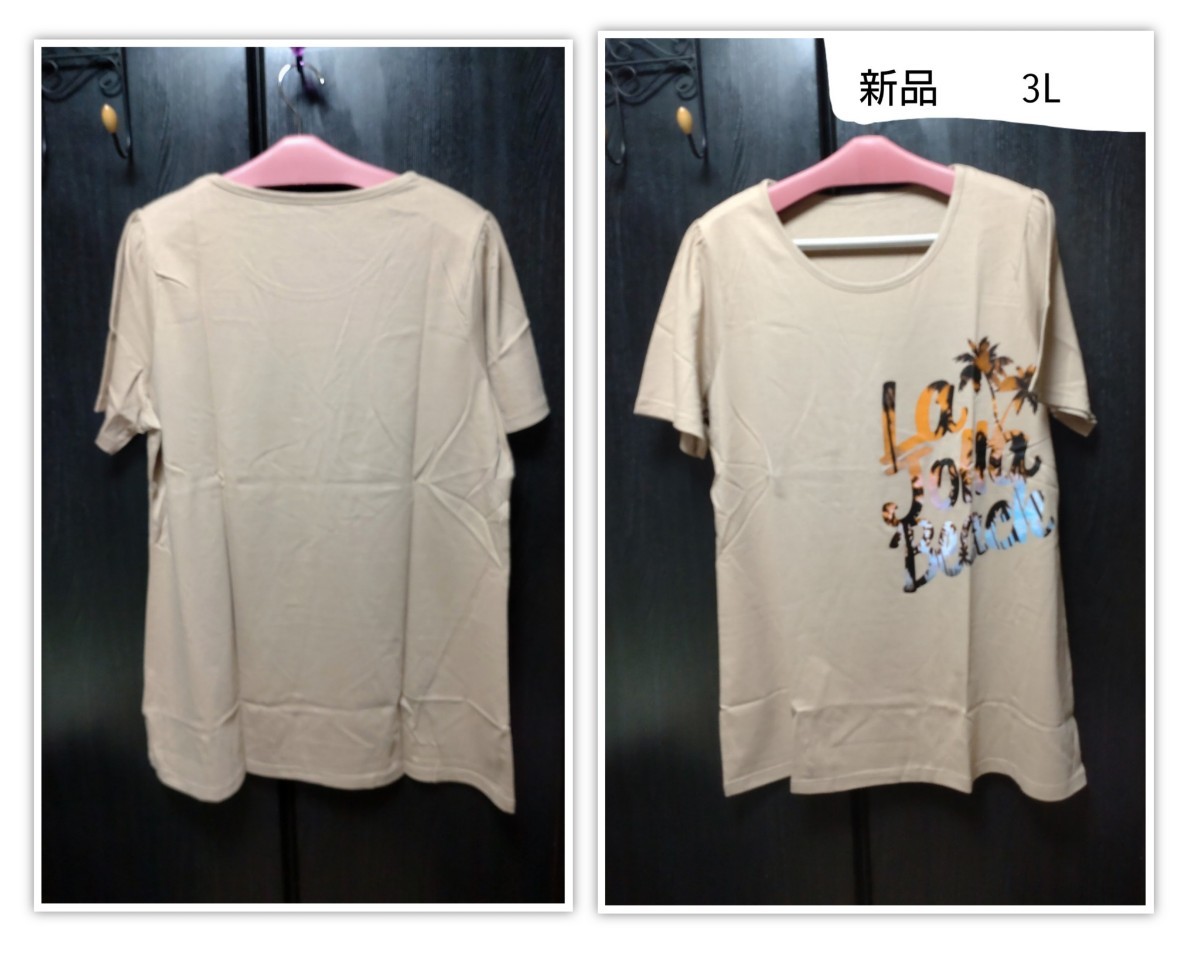 セシール チュニック丈 ロング Tシャツ カットソー 3L 大きいサイズ 春夏 ナチュラル カジュアル プラスサイズ拍卖