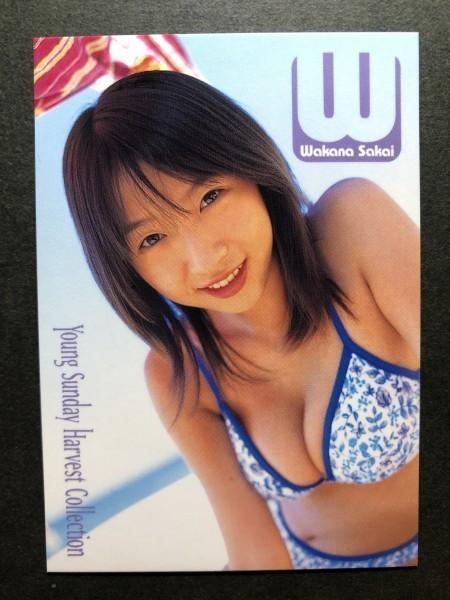 酒井 若菜 ヤングサンデー 021 水着 グラビア アイドル トレカ トレーディングカード拍卖