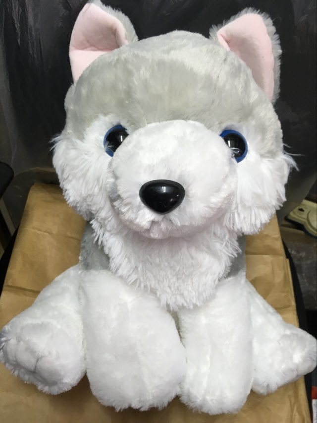非売品 もふっとオオカミが来たよ ウルちゃん ハイイイロ オオカミ ぬいぐるみ ウル おおかみ 狼 プライズ gray wolf stuffed toy Doll拍卖