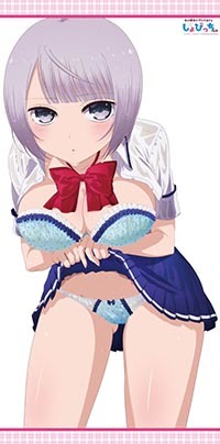 僕の彼女がマジメ過ぎるしょびっちな件 とらのあな BD/DVD 1巻購入特典 ロングタペストリー 送料無料拍卖