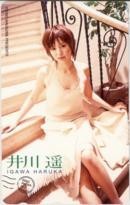 【テレカ】井川遙 ヤングマガジン 抽プレテレカ ID-9A-I0003 未使用・Aランク拍卖