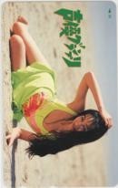 【テレカ】横山智佐 声優グランプリ 抽プレテレカ 12S-YO1001 未使用・Aランク拍卖