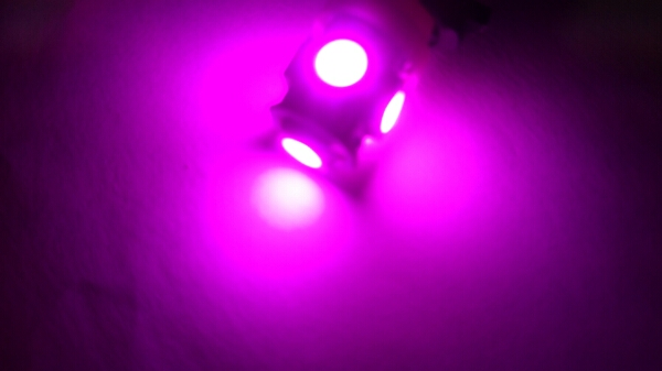 24V LED スモールランプ ポジションランプ ピンク パープル 紫 送料無料拍卖