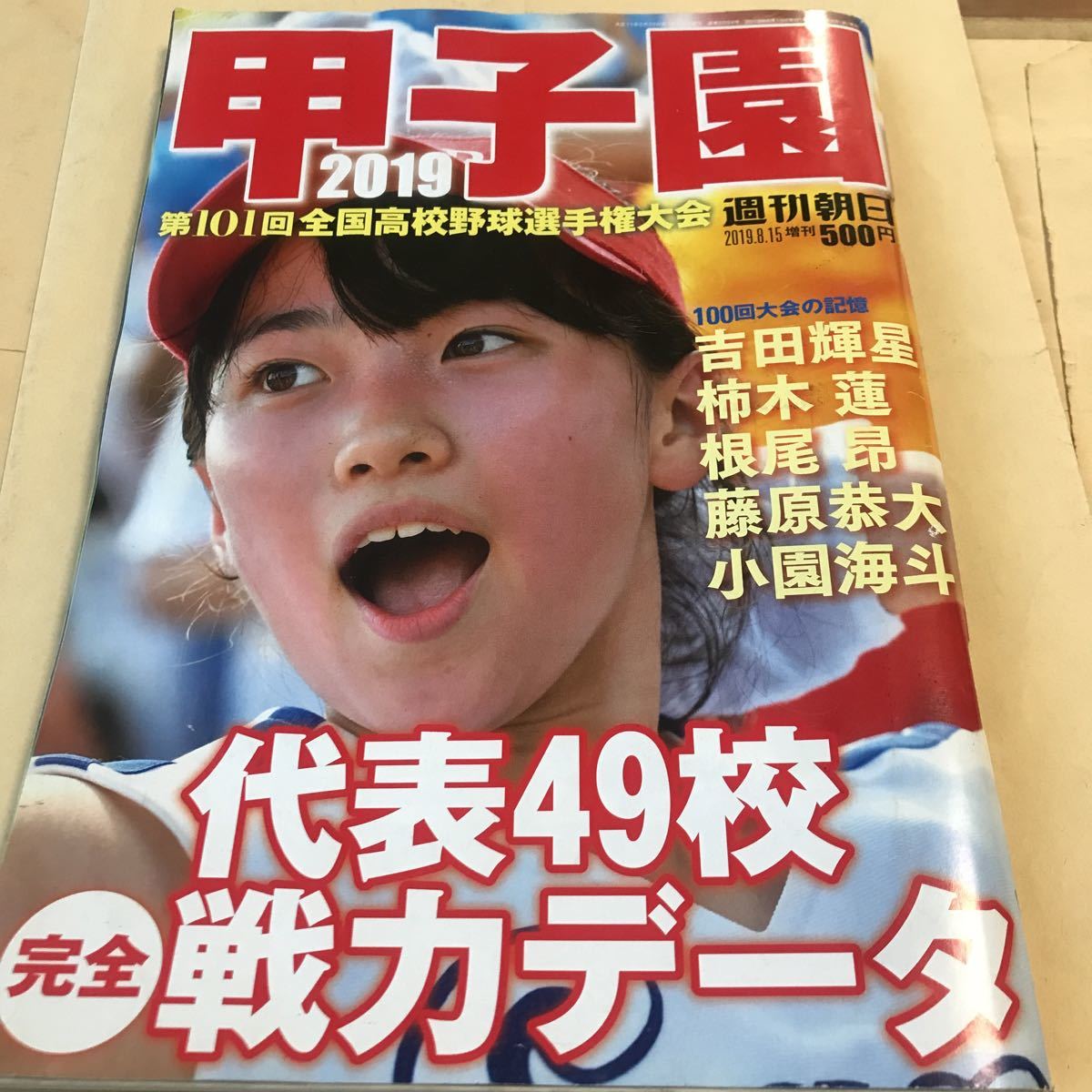第101回全国高校野球選手権大会【甲子園 代表49校完全戦力データ】美品 BKHY★同梱→説明参照拍卖