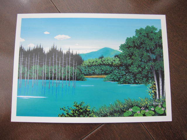 新品 北海道 上川郡 美瑛町 白金 青い池 ポストカード 風景画 メッセージカード 旭川拍卖