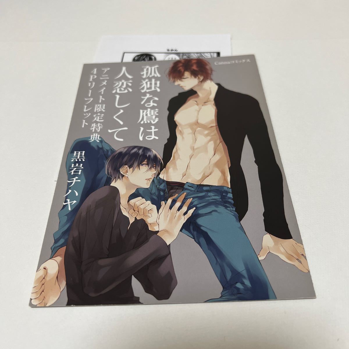 BL★104 孤独な鷹は人恋しくて…黒岩チハヤ(リーフレット、ペーパーのみ)特典のみ拍卖