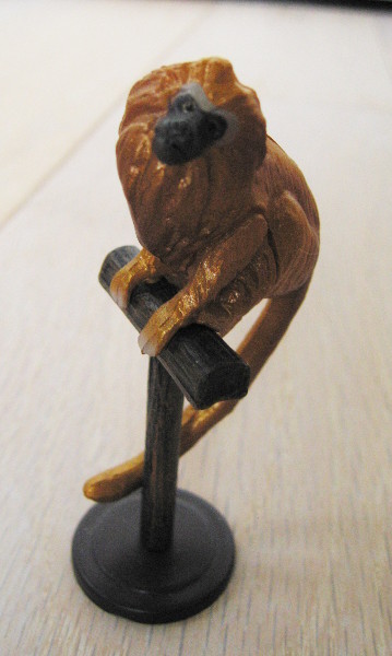 ■中古★チョコエッグ★おもしろ動物★ゴールデンライオンタマリン■拍卖