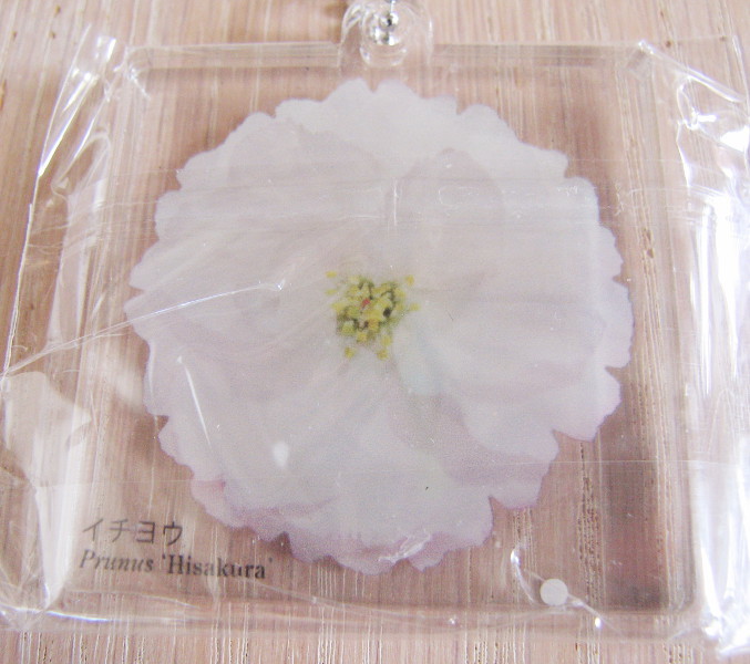 桜■未開封★サクラ★アクリルマスコット★イチヨウ■サイエンステクニカラー拍卖