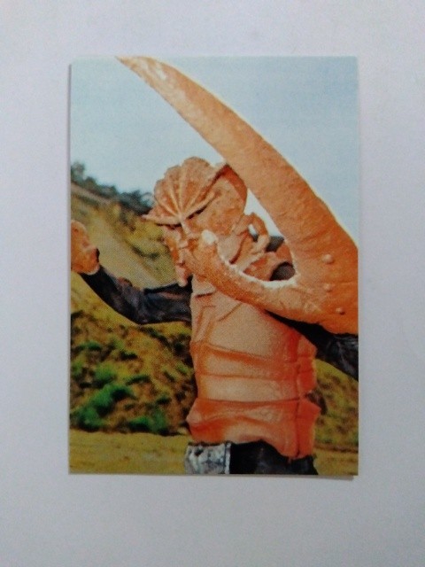 1999年 カルビー 仮面ライダーチップスカード 16拍卖