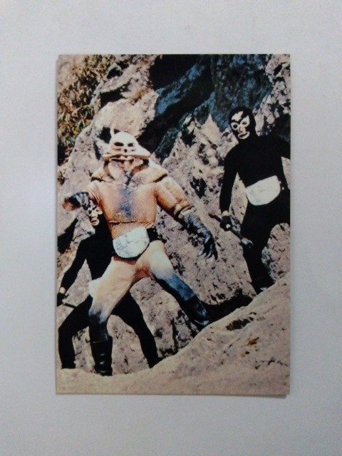 1999年 カルビー 仮面ライダーチップスカード 87拍卖