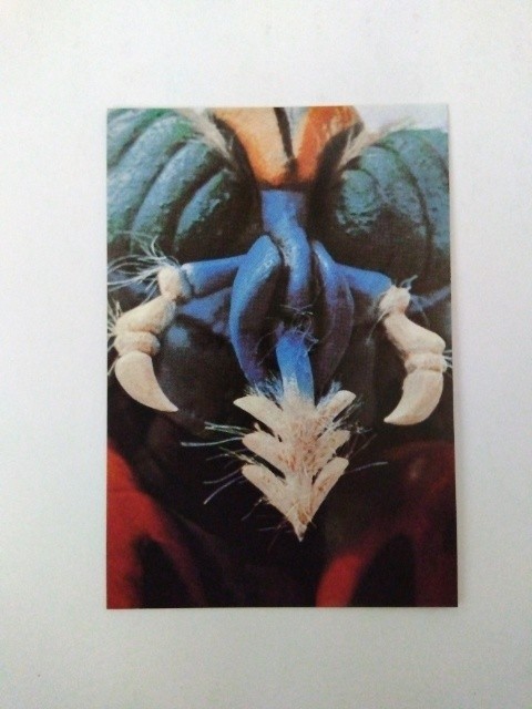 2003年 カルビー 仮面ライダーチップスカード 221拍卖