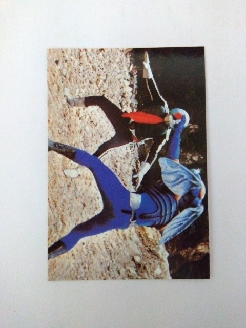 2003年 カルビー 仮面ライダーチップスカード 222拍卖