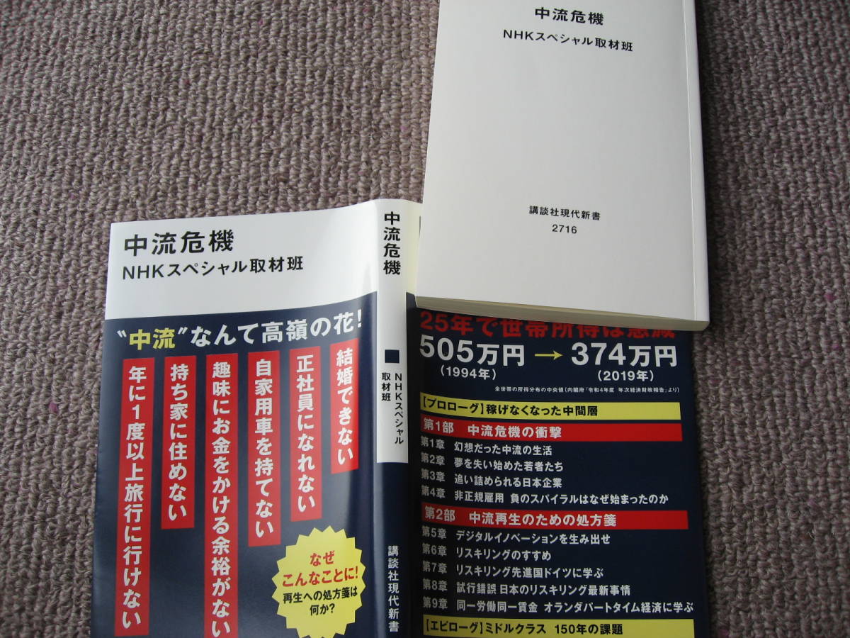 送料無料代引可即決《中流危機2023年8月第1刷NHKスペシャル取材班ほぼ新品2716講談社現代新書リスキリング非正規雇用世帯所得若者貧困労働拍卖