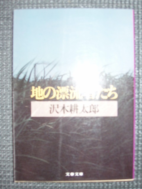 地の漂流者たち拍卖