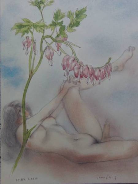 古沢 岩美、けまん草、希少な大判額装用画集より、新品高級額装付、状態良好、送料無料、choco拍卖