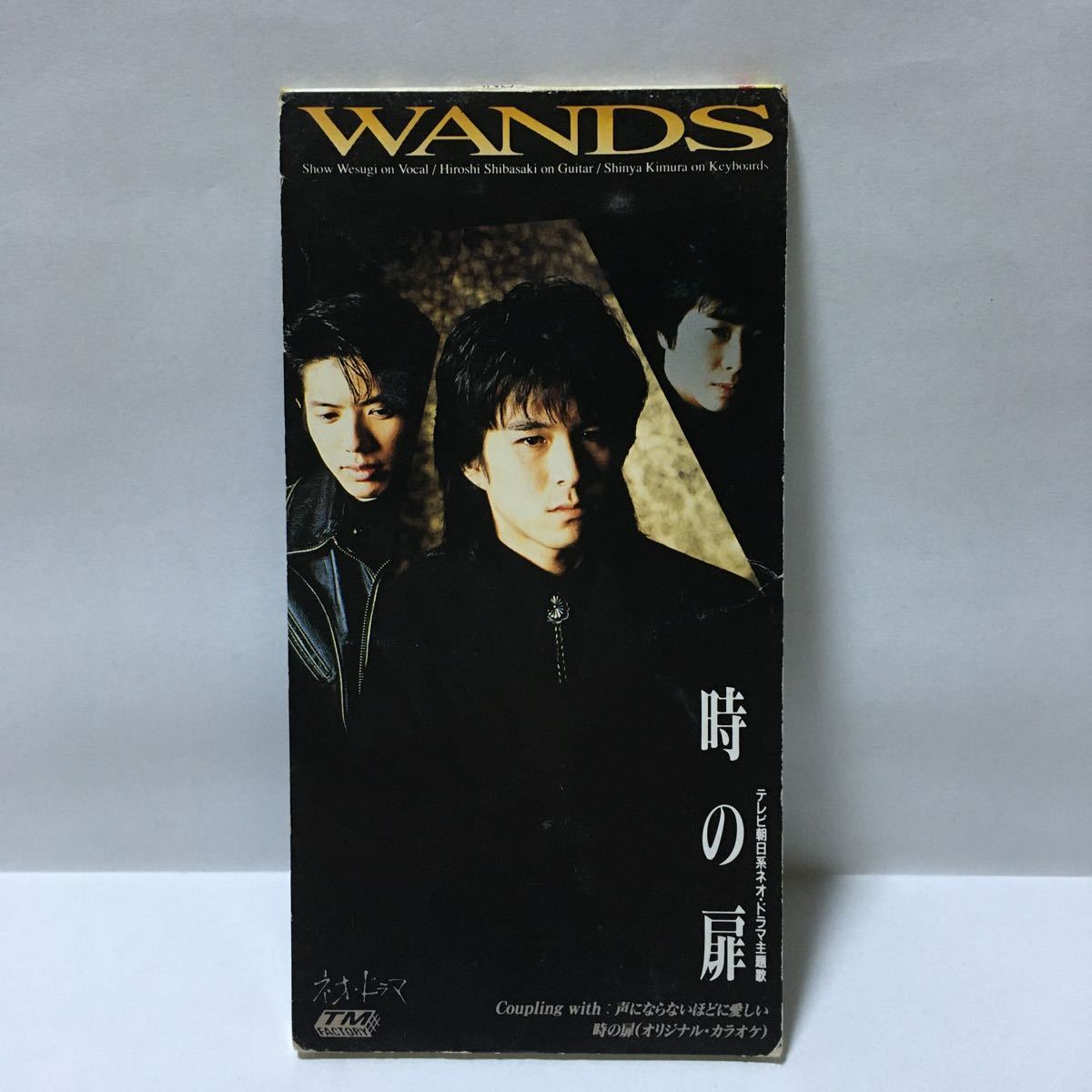 WANDS 時の扉 声にならないほどに愛しい 8cm CD拍卖