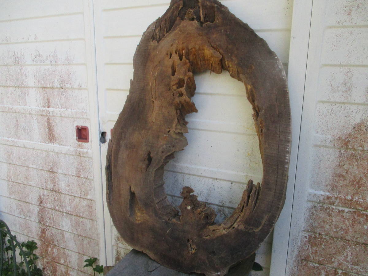 鹿児島 面白い形の屋久杉原木 未加工板拍卖