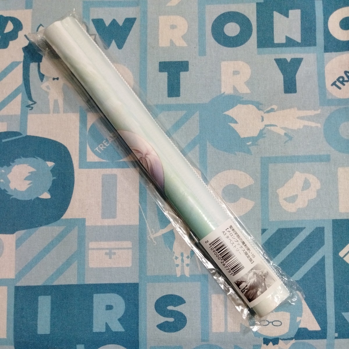 聖剣学院の魔剣使い 第10巻 メロンブックス 限定 特典 遠坂あさぎ A3 タペストリー リーセリア 未開封新品拍卖