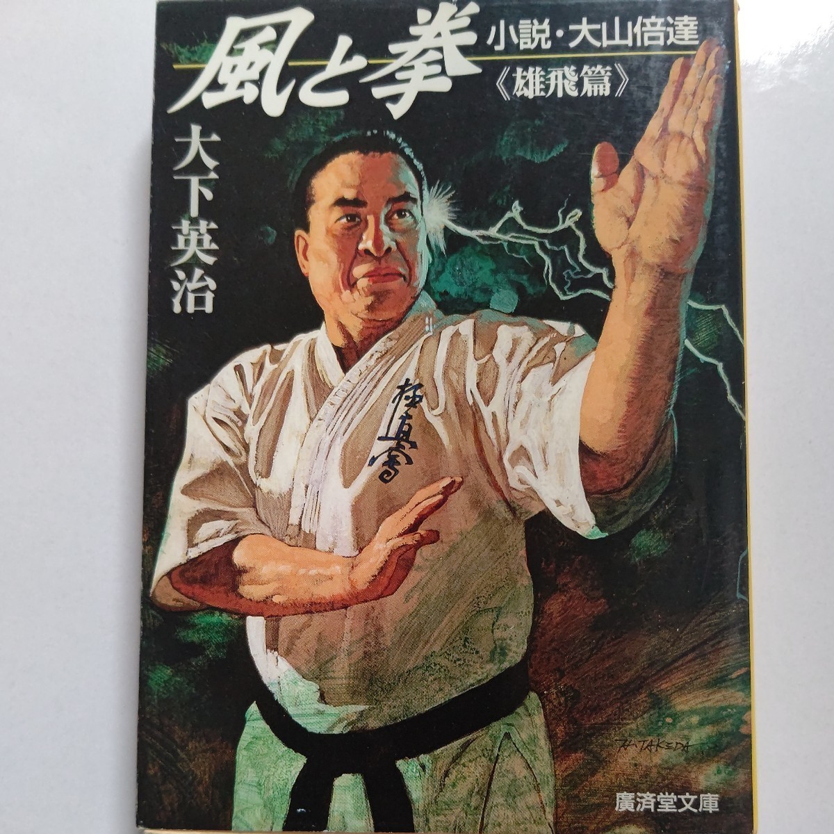 美品 風と拳 小説・大山倍達雄飛篇 大下英治 極真空手“カラテの父”と呼ばれた大山の70歳で亡くなるまでの後半生を描く実録ノベル決定版拍卖
