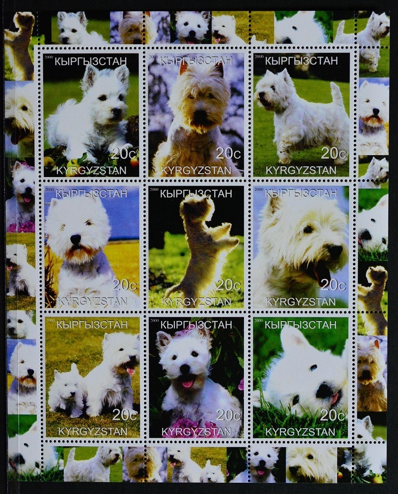 「D535」カザフスタン切手 2000年 犬拍卖