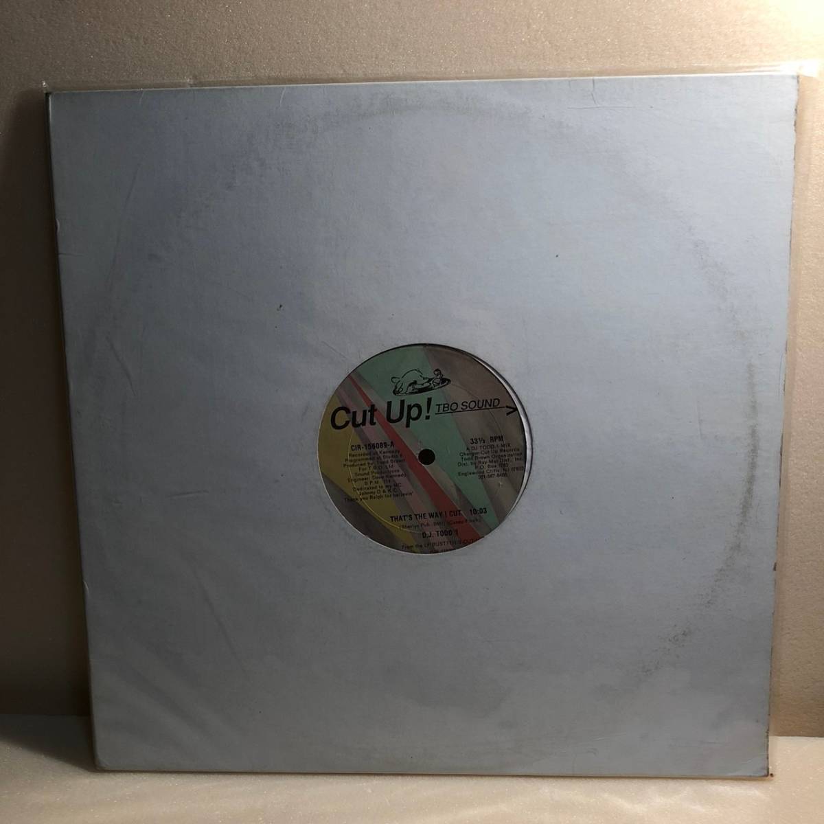 DJ TODD 1 / THAT'S THE WAY I CUT 12インチ拍卖