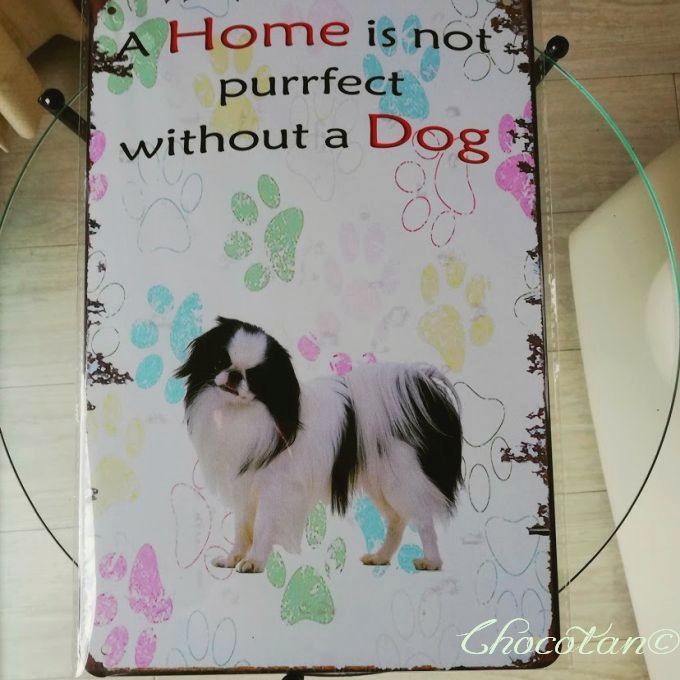 【送料無料】ジャパニーズ チン 狆 ② パステル メタルサインプレート 【新品】拍卖