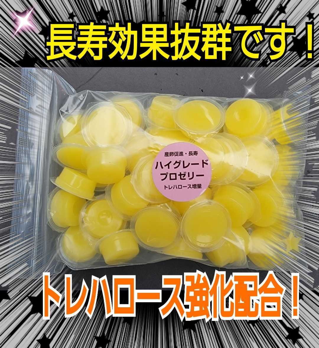 クワガタ、カブトムシの餌はコレ!ハイグレードプロゼリー【50個】食べやすいワイドカップ☆トレハロース強化!産卵促進・長寿効果抜群です拍卖
