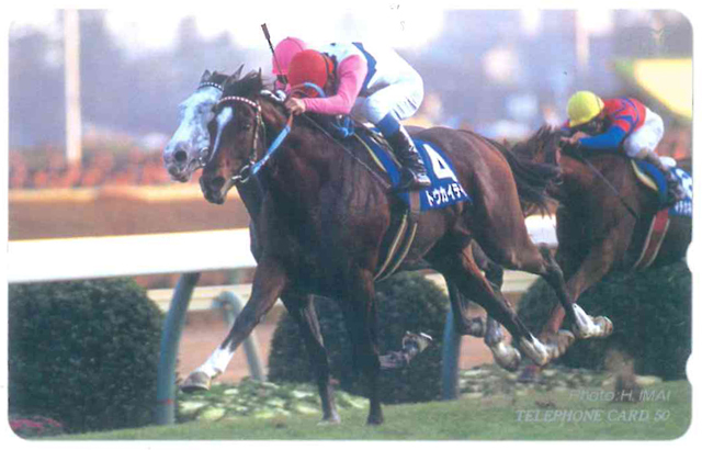 トウカイテイオーテレカ 未使用品 フリー110-160768拍卖