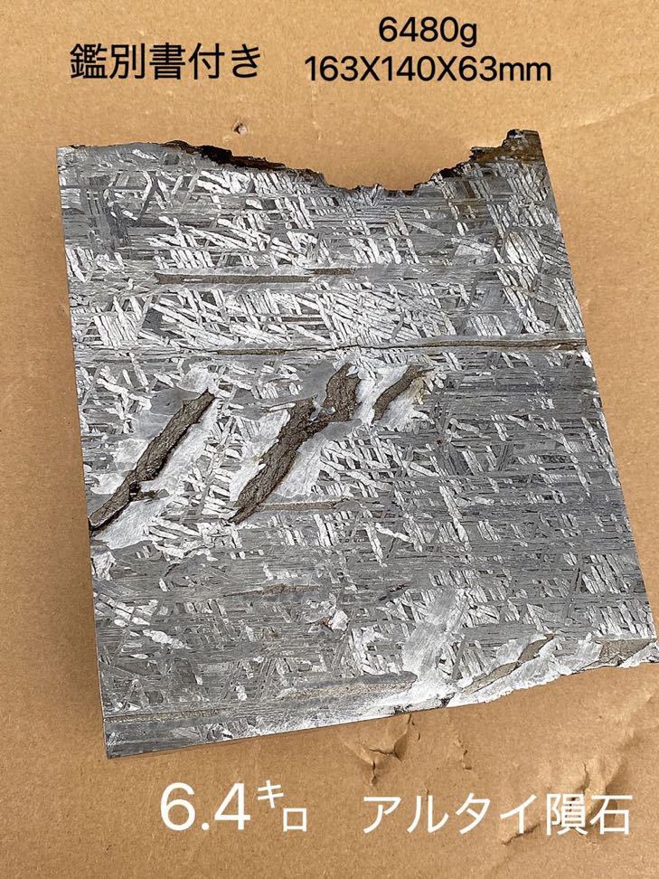 鑑別書付き★アルタイ隕石 6.4㌔ 鉄隕石 希少 大型 宇宙パワー 最高品質隕石 鉄隕石 地球と同年齢の貴重な鉄隕石 仕事運拍卖
