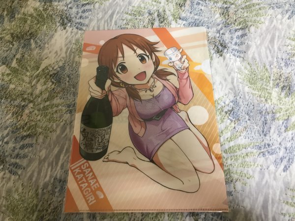 d248クリアファイル アイドルマスター シンデレラガールズ WILD WIND GIRL ワイルドウインドガール 片桐早苗 とらのあな特典拍卖