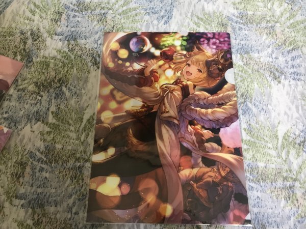d240クリアファイル グランブルーファンタジー グラブルEXTRAフェス ヴァジラ拍卖