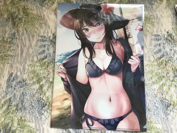 d239クリアファイル ちぴー C96   メロンブックス特典拍卖