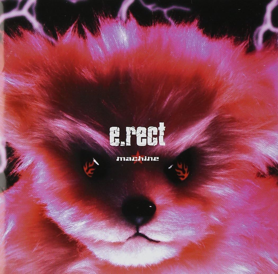 e.rect machine 国内盤拍卖