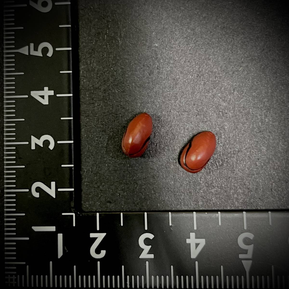 【売り切り/値上げ予定】BOX STUDIO製 1/6 スケール 模型 女性 フィギュア用 植毛ヘッド用 部品 装備 小物 頭飾り 2個セット (未使用拍卖