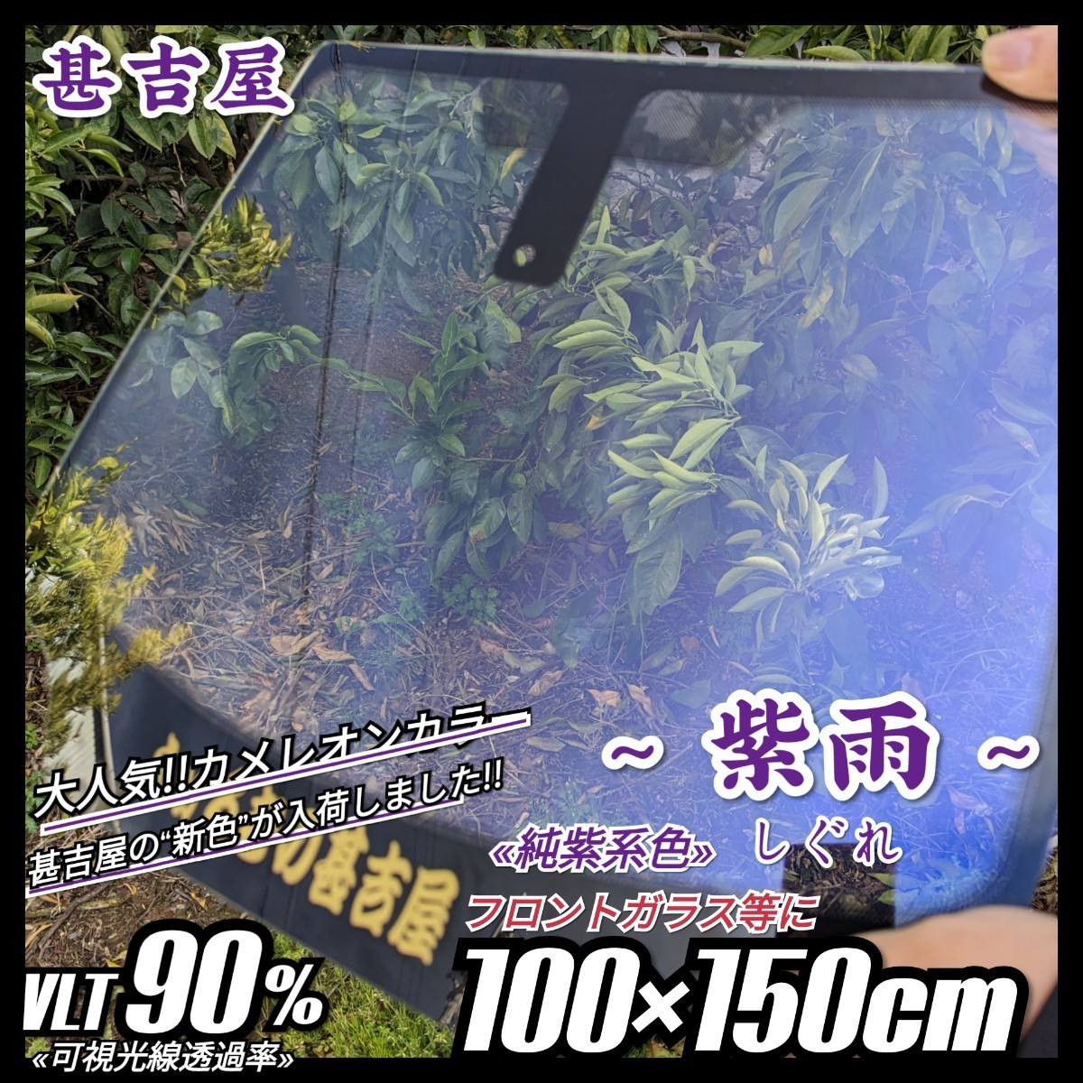 《新品》ウィンドウフィルム ~紫雨しぐれ~ カメレオンカラー 純紫系色 プライバシー保護 飛散防止 洒落 縦100cm×横150cm フロントガラス等拍卖