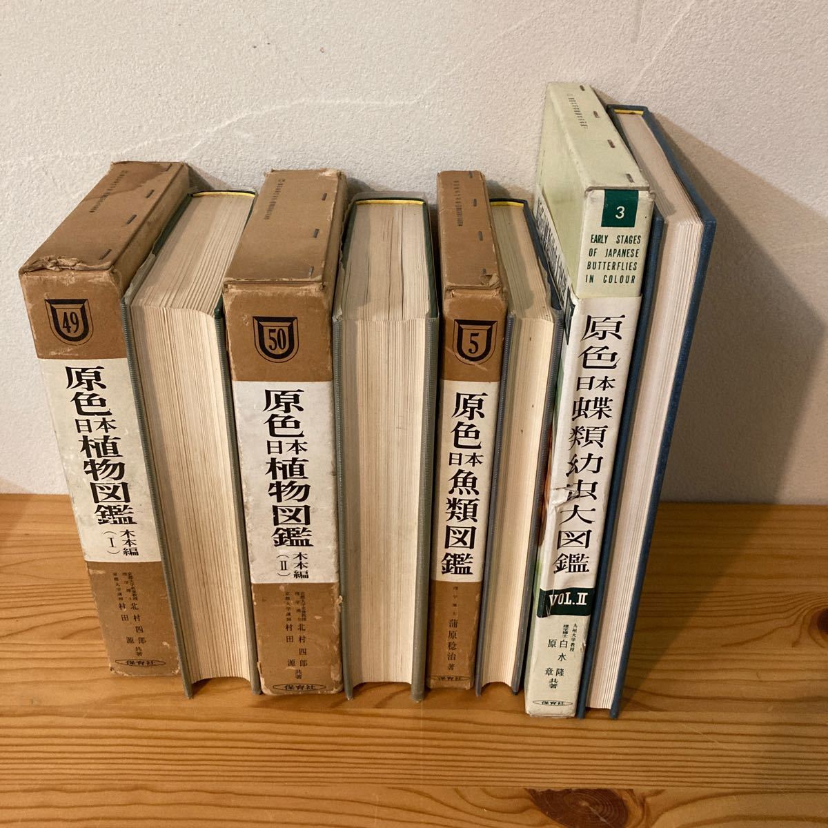 原色日本植物図鑑1,2木本編、原色日本魚類図鑑、原色日本蝶類幼虫大図鑑 保育社 北村四郎村田源蒲原稔治白水隆原章拍卖