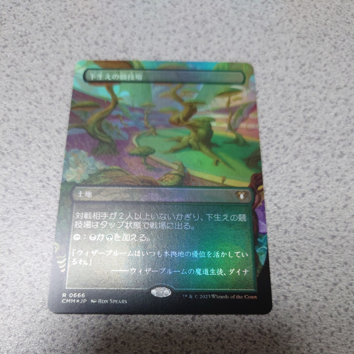 MTG CMM 下生えの競技場 日本語foil 一枚 統率者マスターズ ボーダーレス セット・ドラフトブースター版 日本製 即決拍卖