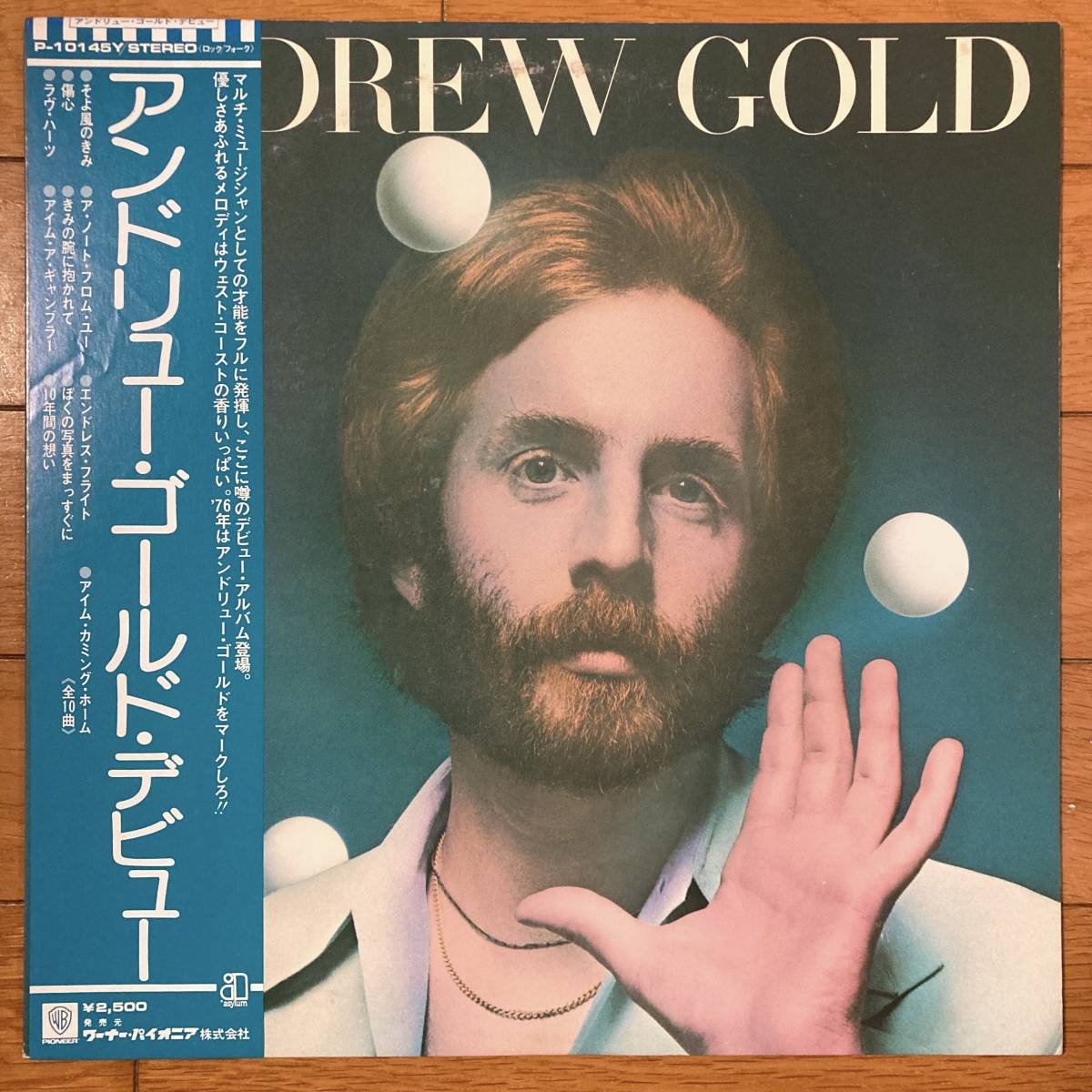 ■アンドリュー・ゴールド■Andrew Gold■P-10145Y■AOR■帯拍卖