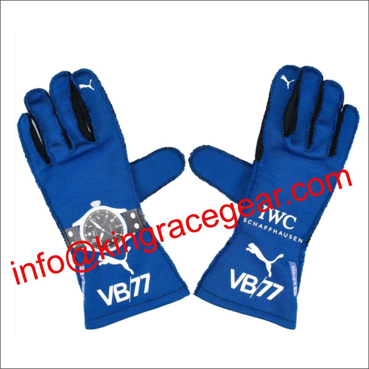 海外 送料込み バルテリ・ボッタス 2019 F1 サイズ各種 レーシンググローブ レプリカ 2拍卖