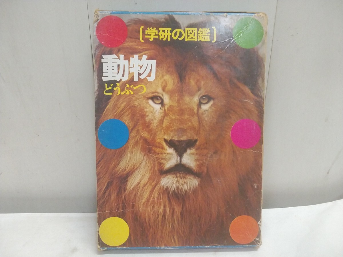 昭和レトロ!! レターパックP/学研の図鑑【 動物 256ページ 19×26.5cm 】中古品 希少 昭和45年初版拍卖