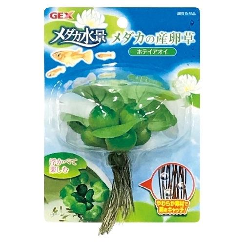 送料無料   GEX ジェックス メダカの産卵草  ホテイアオイ拍卖
