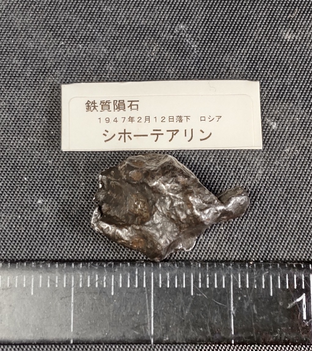 鉄質隕石 ( シホーテアリン ) ② シホテアリン(Sikhote-Alin) 産地 ロシア 極東拍卖
